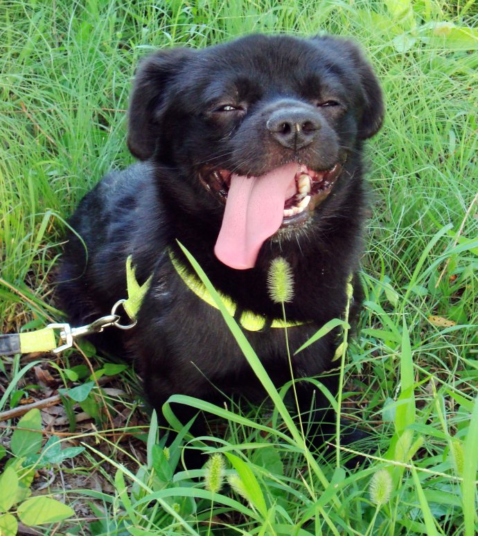 在草堆里 在草堆里